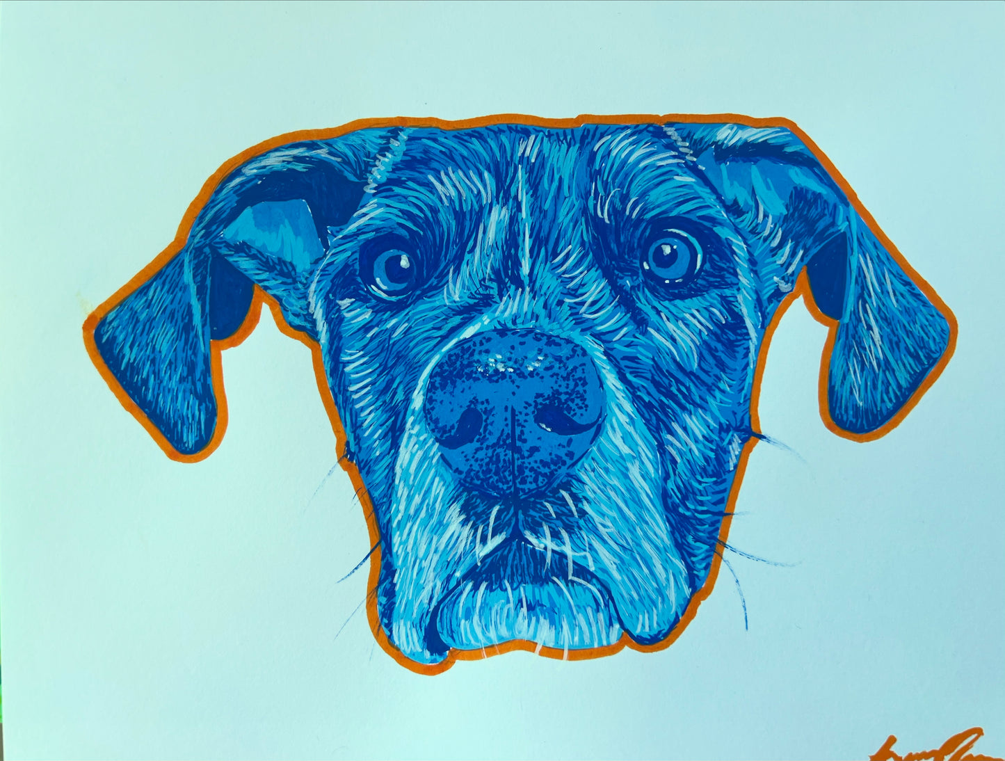 Custom pet portrait